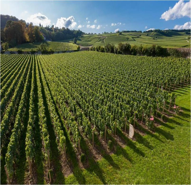 Le Clos Des Belvals Blancs-Coteaux Exterior foto